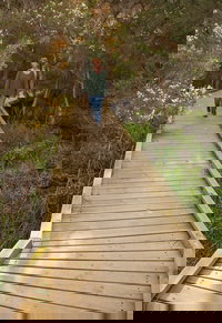 Balcombe Creek Estuary Boardwalk