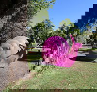 Belmore Park - Attractions