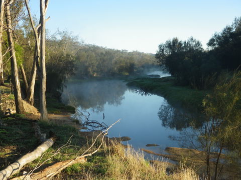 Bilya Walk Track - Attractions 0