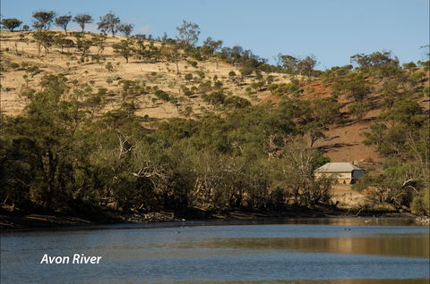 Bilya Walk Track - Attractions 2