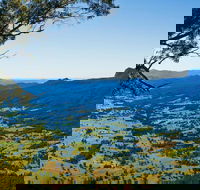 Blackbutt Lookout Picnic Area - Attractions