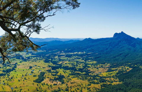Blackbutt Lookout Picnic Area - Attractions 0