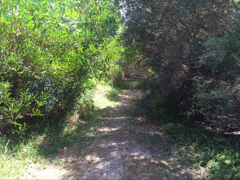 Bluff Track Fitness Trail - Attractions 2