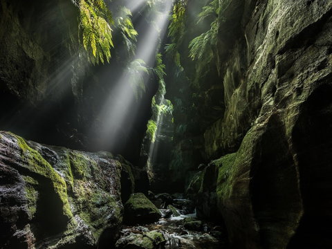 Blue Mountains Heritage Centre And Virtual Reality Experience - Attractions 0