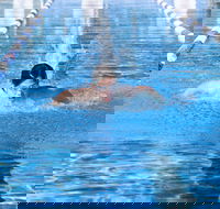 Bomaderry Aquatic Centre - Attractions