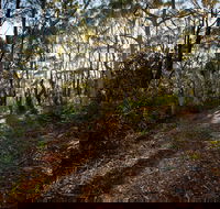 Booderee National Park Munyunga Waraga Dhugan Walking Trail - Attractions