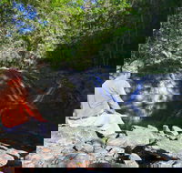 Booloumba Falls Walk Conondale National Park - Attractions
