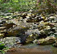 Booyong Walking Track - Attractions