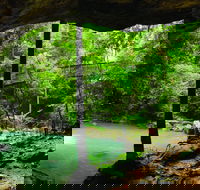 Buderim - Attractions
