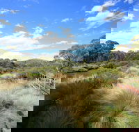 Bullocks walking track - Attractions