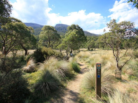 Bullocks Walking Track - Attractions 2