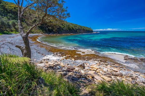 Burns Bay - Attractions 0