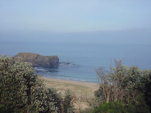 Bushrangers Bay - Attractions 0