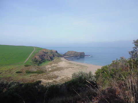 Bushrangers Bay - Attractions 1