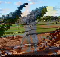 Cobar Miners Heritage Park - Attractions