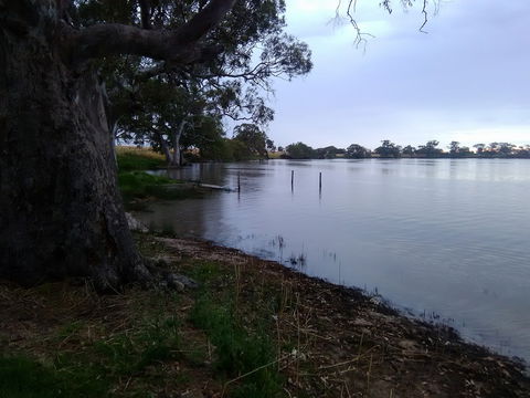 Cockatoo Lake Recreation Reserve - Attractions 1