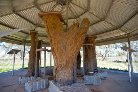 Collymongle Carved Trees - Attractions 2