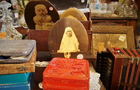 Contrary's On Clarence - Attractions 1