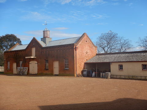 Cooma Cottage - Attractions 1