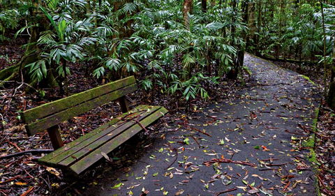 Coombadjha Nature Stroll - Attractions 0
