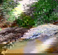 Currumbin Rock Pools - Attractions