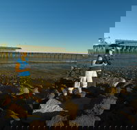 Derby Jetty - Attractions