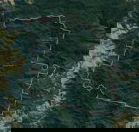 Dingo Forest - See Attractions