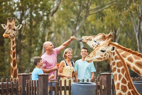 Dubbo - See Attractions 0