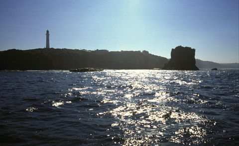 Eagle Rock Marine Sanctuary - Attractions 2