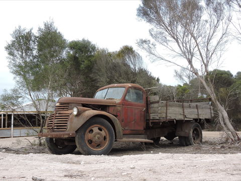 Emu Ridge Eucalyptus Pty Ltd - Attractions 2