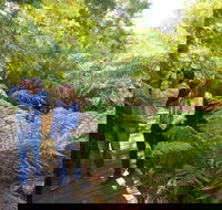 Endeavour Fern Gully Walks - Attractions