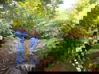 Endeavour Fern Gully Walks