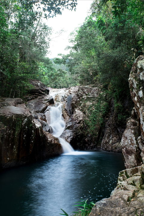 Finch Hatton Gorge - Attractions 1