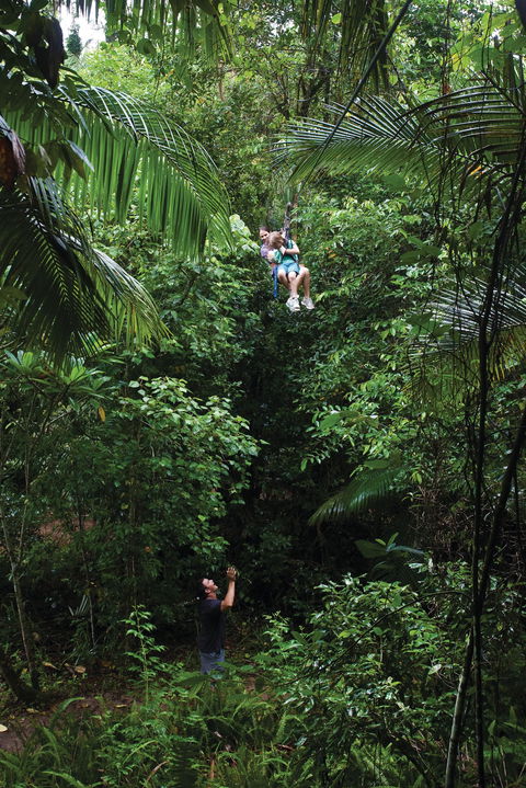 Finch Hatton Gorge - Attractions 2