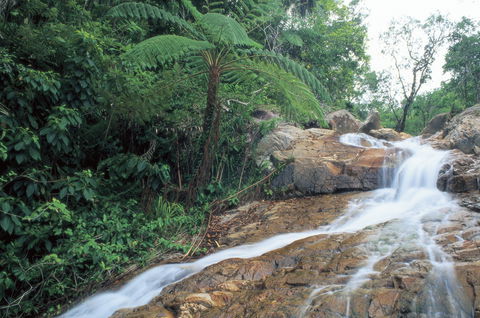 Finch Hatton - Attractions 0