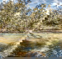 Flea Creek Picnic Area - Attractions
