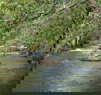 Florence Creek walk - Attractions Las Vegas