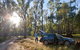 Forest Drive, Murrumbidgee Valley National Park - thumb 0