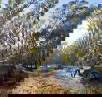 Forest Drive Murrumbidgee Valley National Park - Attractions