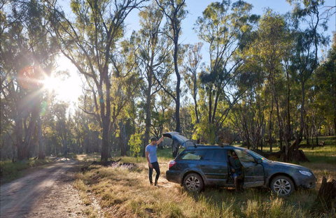 Forest Drive, Murrumbidgee Valley National Park - Attractions 0