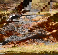 Freycinet Paintball and Campground - Attractions