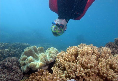 Geoffrey Bay Snorkel Trail - Attractions 0
