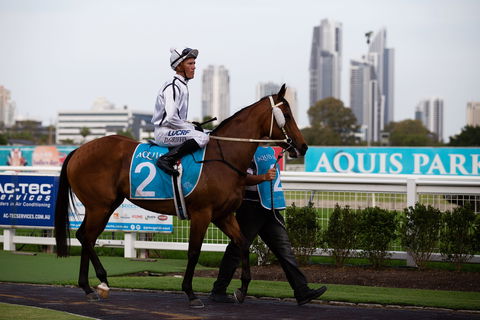 Gold Coast Turf Club - Attractions 2