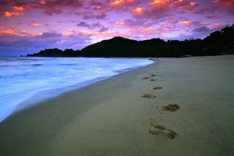 Hinchinbrook Island National Park - Attractions 2