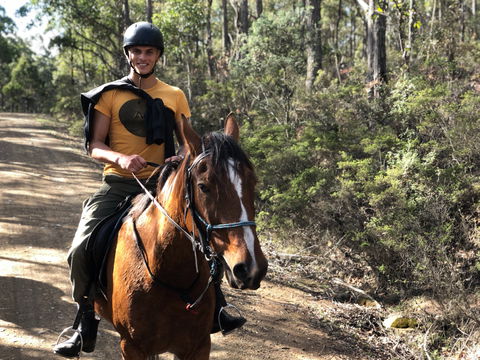 Horse Riding Tasmania - Attractions 2