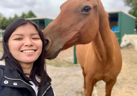 Horses Teaching Humans - Attractions 0