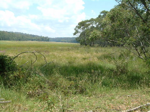 Hume And Hovell Walking Track - Attractions 2