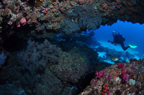 Hutchinson Shoal Dive Site - Attractions 0
