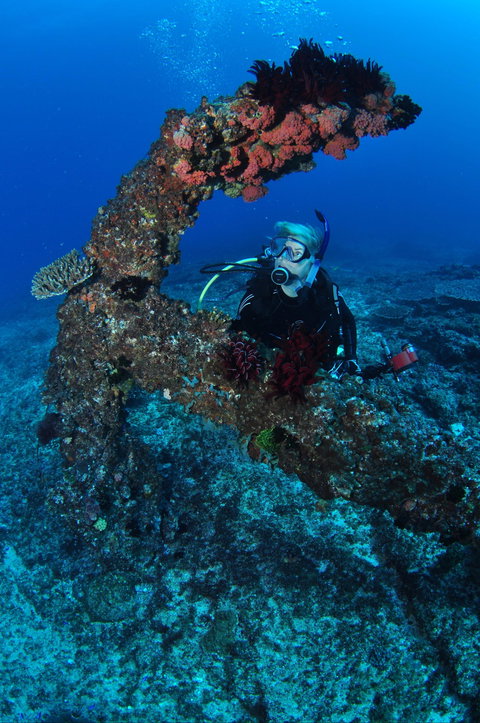 Hutchinson Shoal Dive Site - Attractions 1