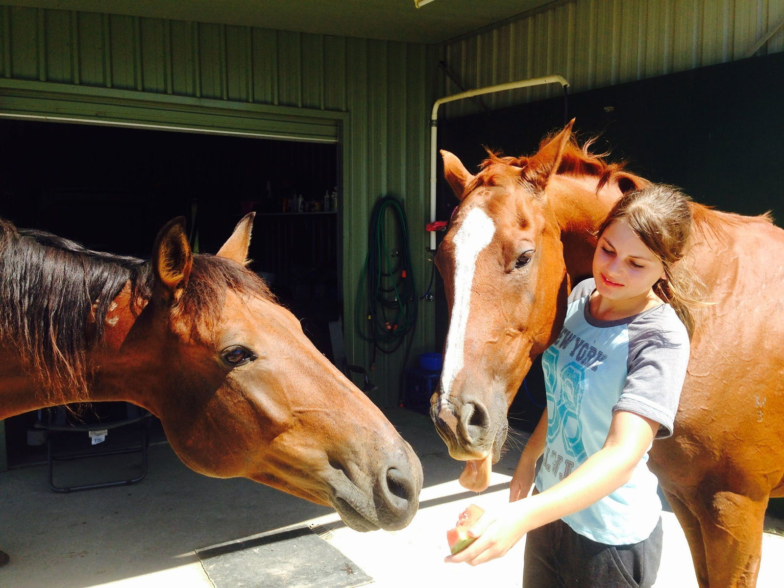 Jilliby NSW Attractions